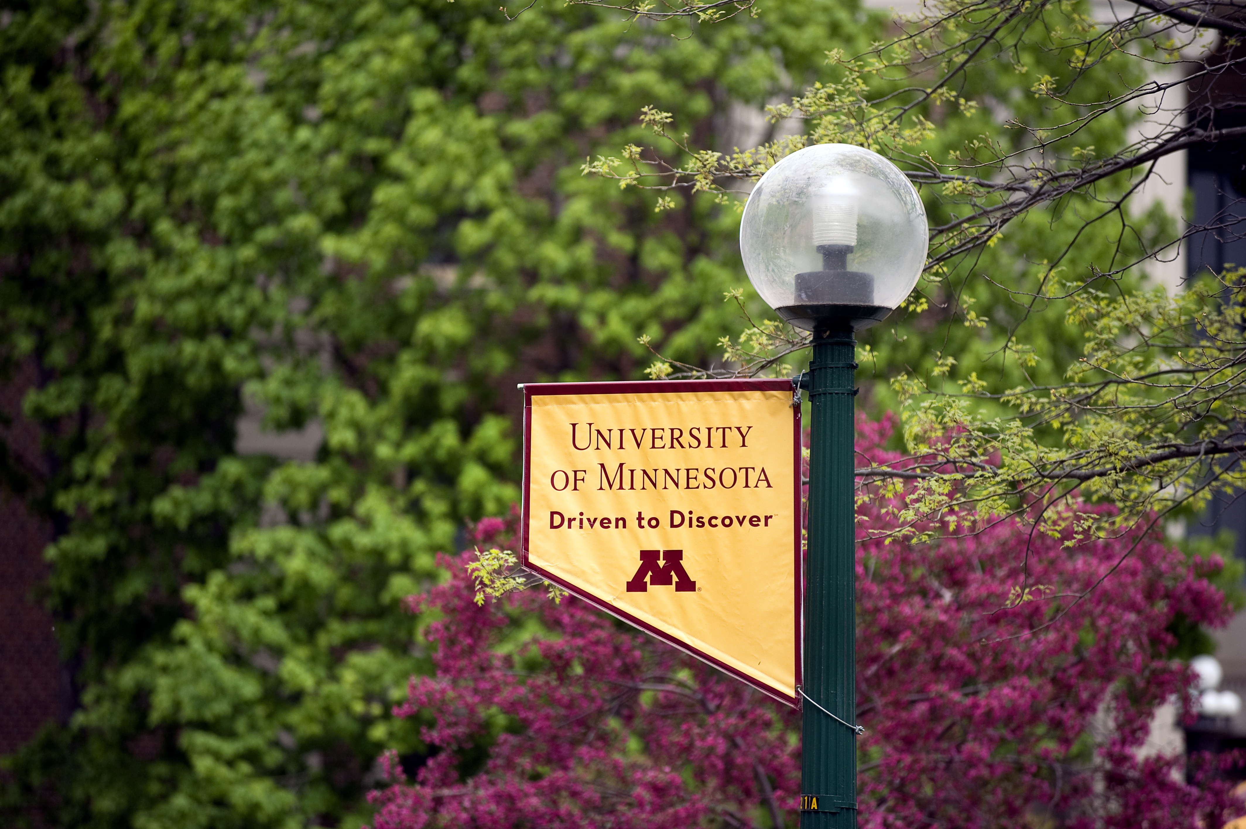 A lamp post on campus with a University of Minnesota gold and maroon flag.